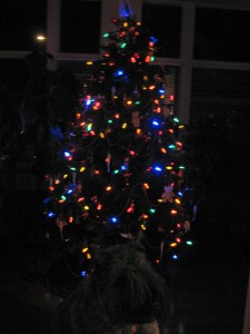 see ziggy and the tree